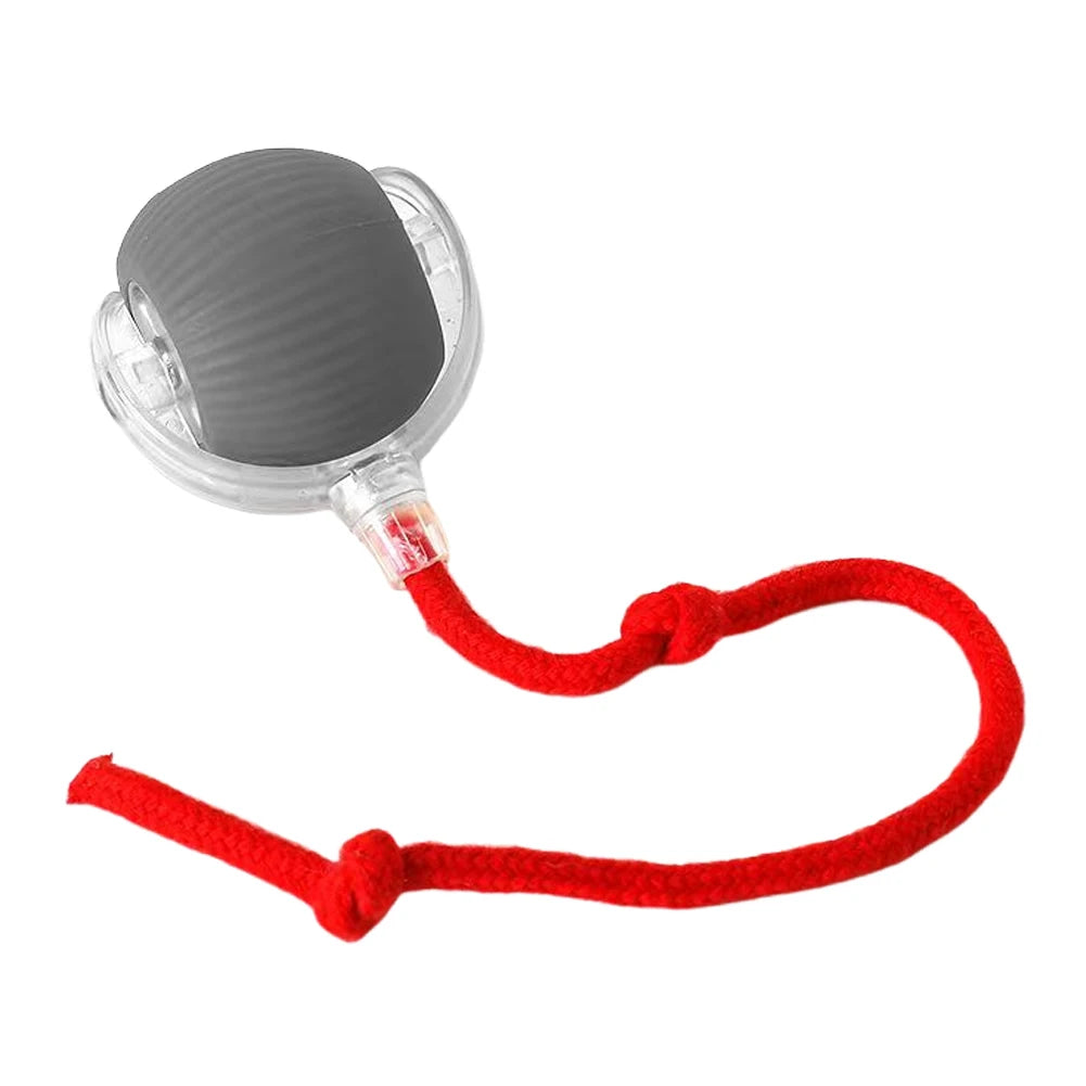 Electric Cat Toys Automatic Rolling Ball Tail