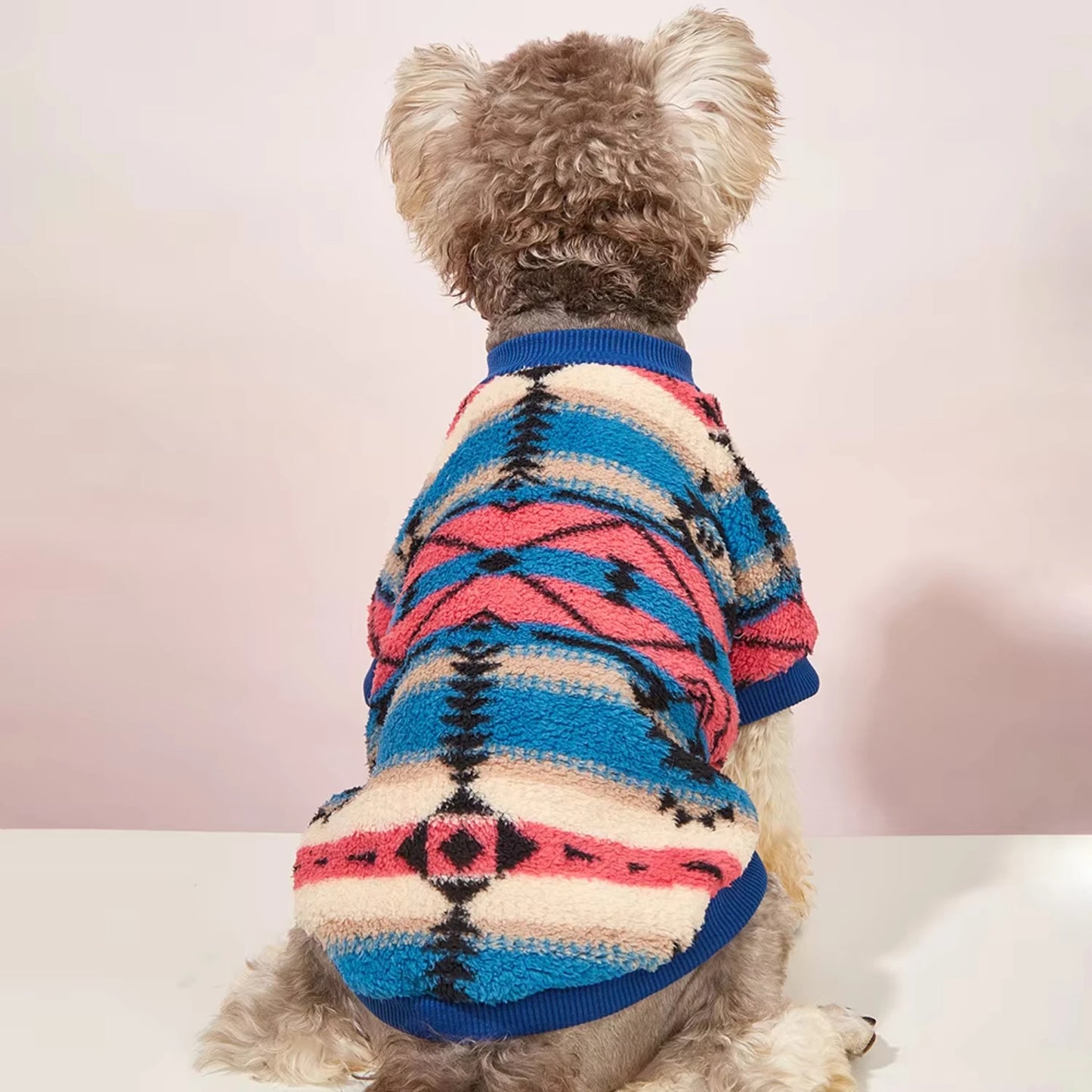 Hot selling pet clothes for autumn winter