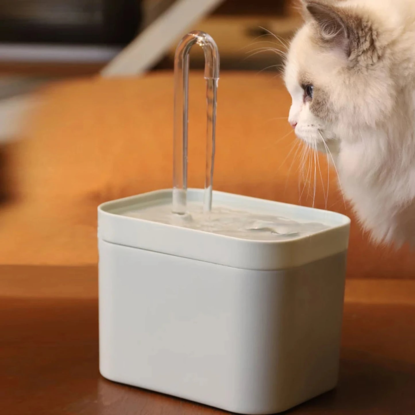 Cat Water Fountain Auto Filter Cat Bowl