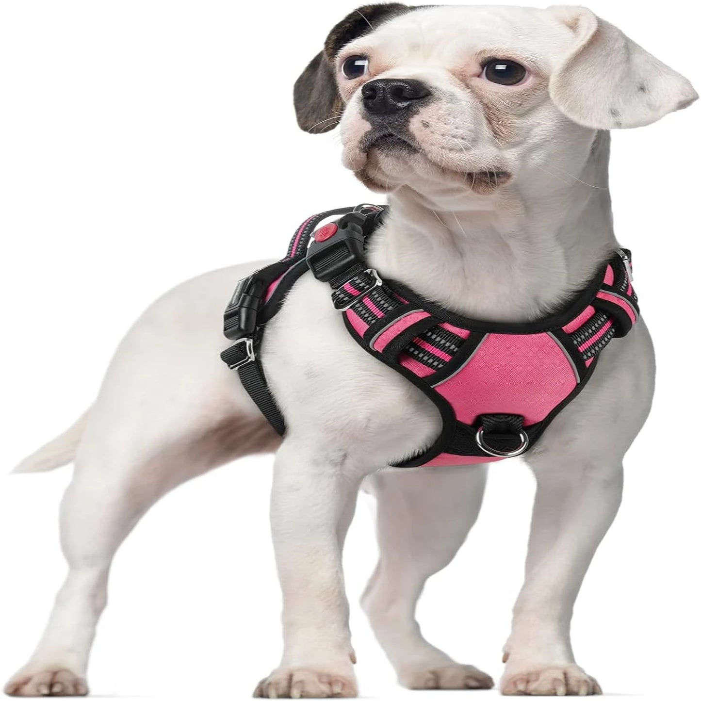 Adjustable Large Dog Harness  Padding, Reflective Strips